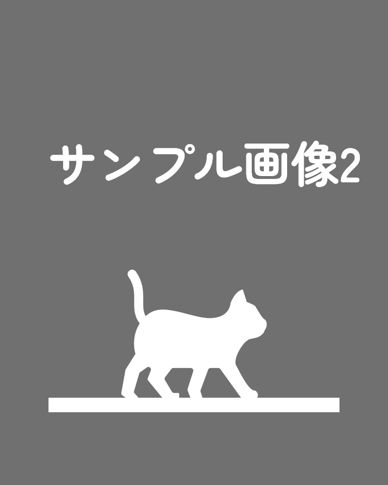 スライド画像2