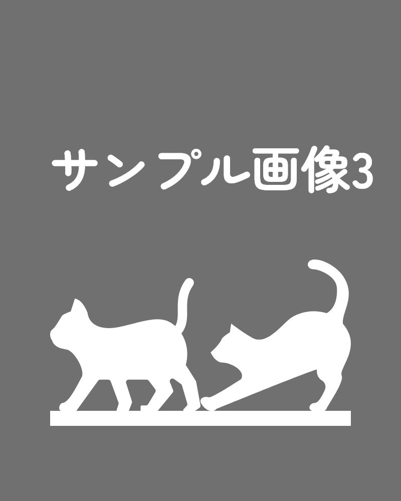 スライド画像3